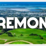 Moving Services in Fremont