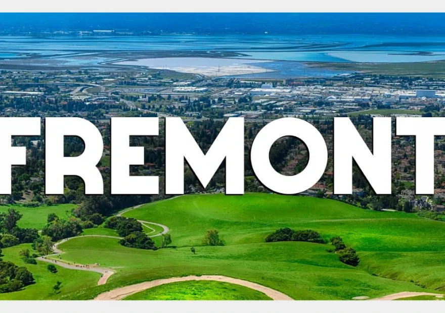 Moving Services in Fremont