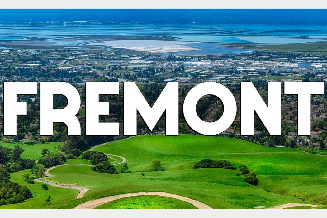 Moving Services in Fremont